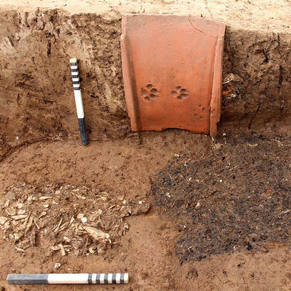 Brandschüttungsgrab mit dem säuberlich ausgelesenen Leichenbrand aus Knochenresten (links) und dem übrigen Brandschutt (rechts)